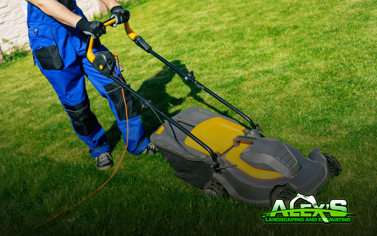 How Short to Cut Grass Before Winter