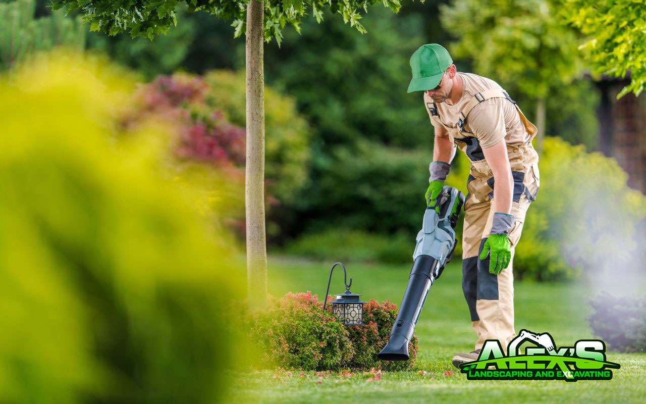 lawn cleaning in spring