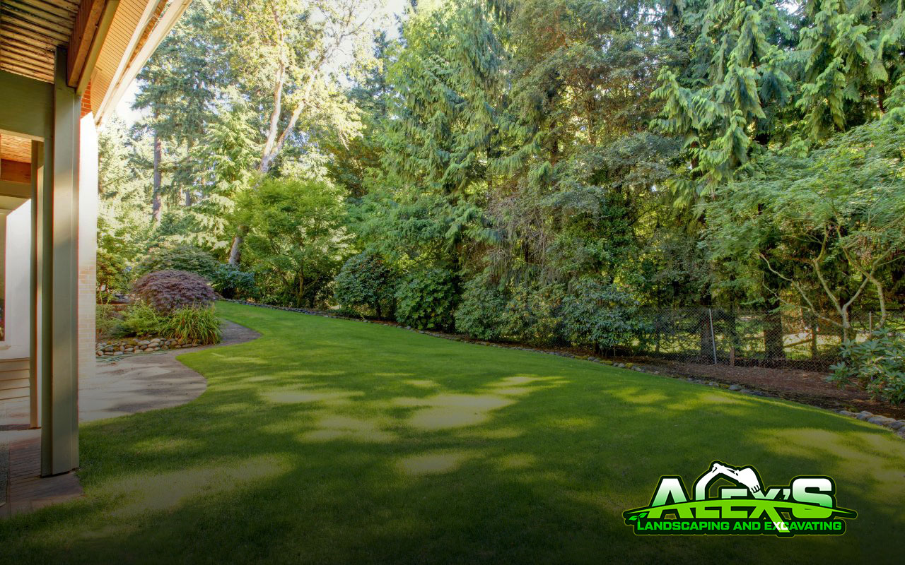 Lawn Maintenance Tips for Summer