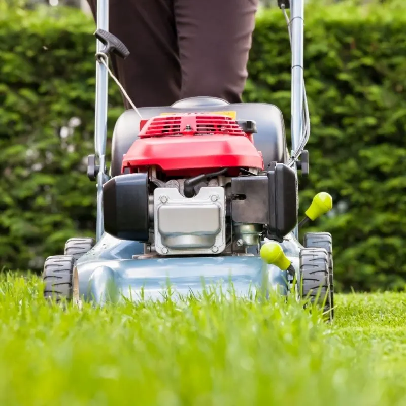 Lawn Maintenance