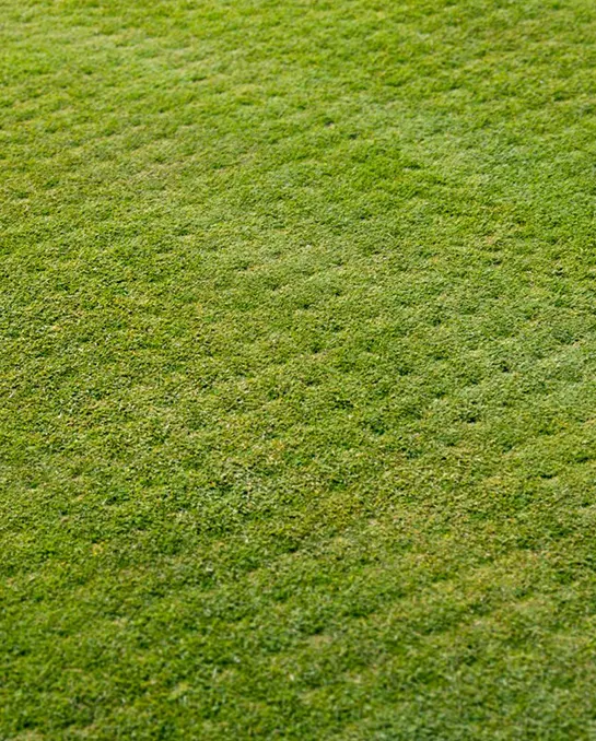 JUMPSTART YOUR GREEN: GRASS AERATION IN BAINBRIDGE ISLAND, WA