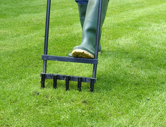 Discover the Benefits of Aeration Services in Seattle, WA