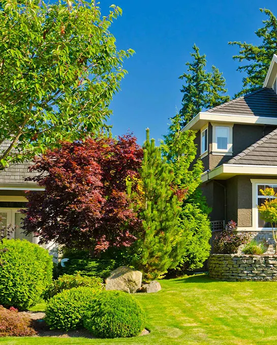 Give your Landscape the Care It Deserves Bainbridge Island - Kitsap