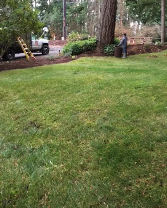 BEYOND GREEN: BENEFITS OF LAWN SERVICES IN BAINBRIDGE ISLAND, WA