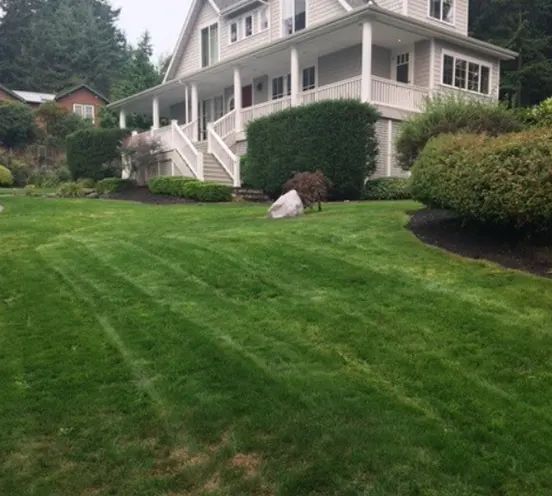 BEYOND GREEN: BENEFITS OF LAWN SERVICES IN BREMERTON, WA