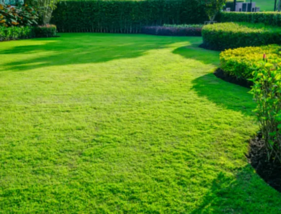 EXPERIENCE TOP-QUALITY LAWN SERVICES IN SEATTLE, WA, TODAY!