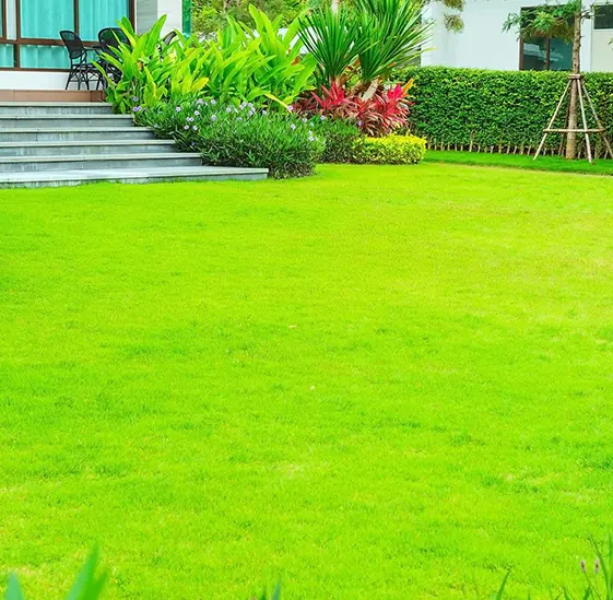 CHIEVE THE PERFECT LAWN WITH OUR TAILORED SOLUTIONS!